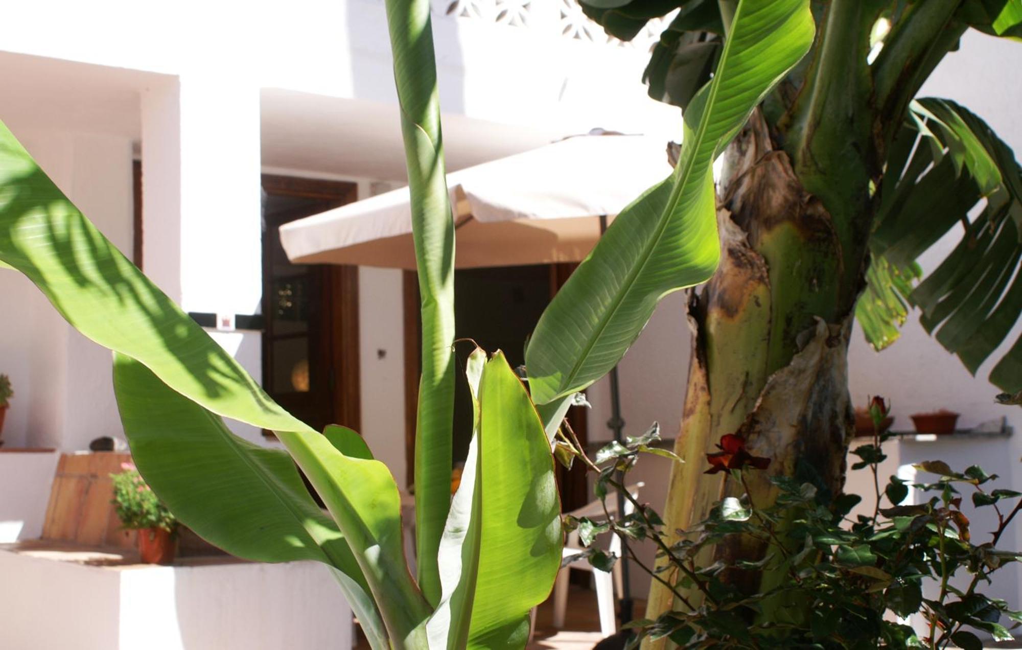 Casa Creativa Guest House แอร์มิกวา ห้อง รูปภาพ