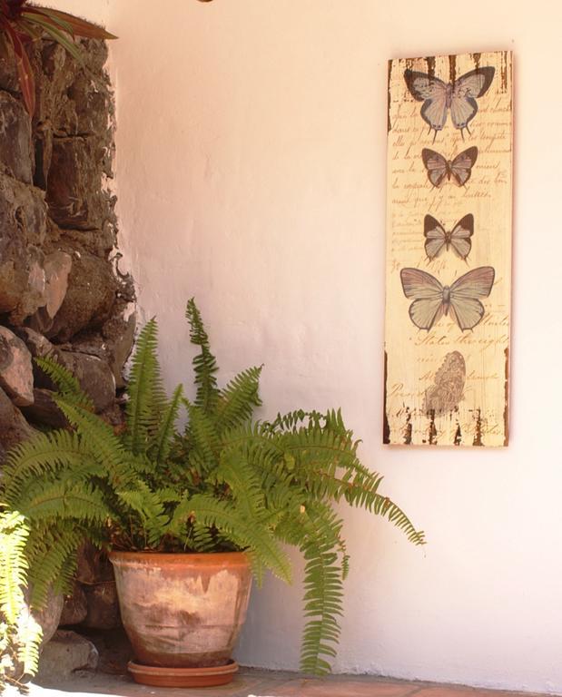 Casa Creativa Guest House แอร์มิกวา ภายนอก รูปภาพ
